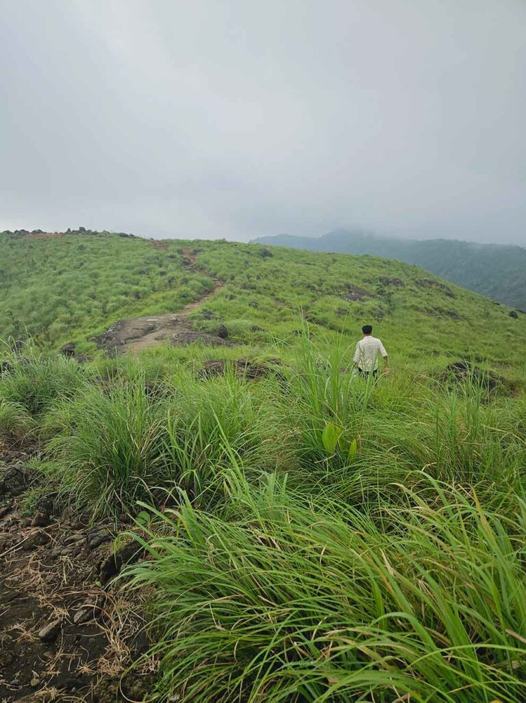 Kakkadampoyil Hills